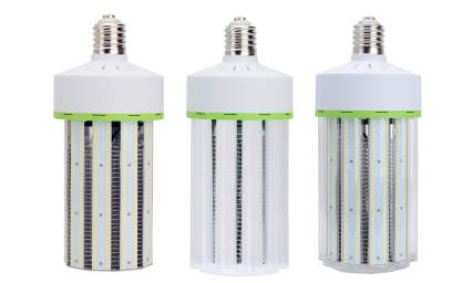 100W (2)